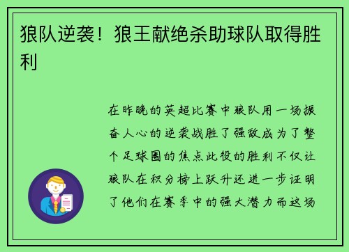 狼队逆袭！狼王献绝杀助球队取得胜利
