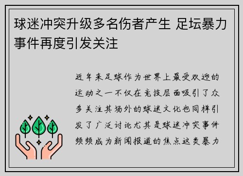 球迷冲突升级多名伤者产生 足坛暴力事件再度引发关注